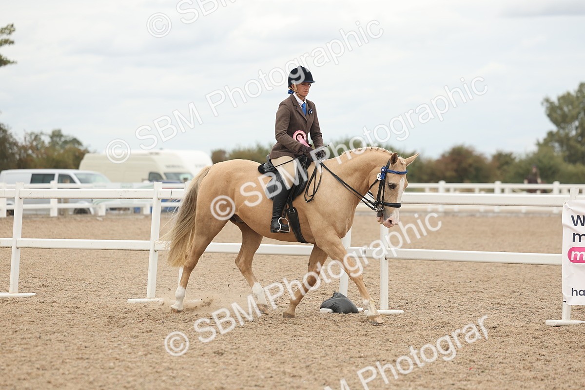 SBM_18242 - Class 315 - Best Horse-Rider Combination