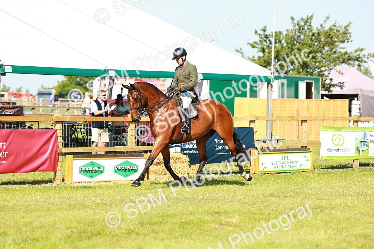 SBM_11992 - Class 66-69 - RIHS Ridden Hunters Inc Small Hunter