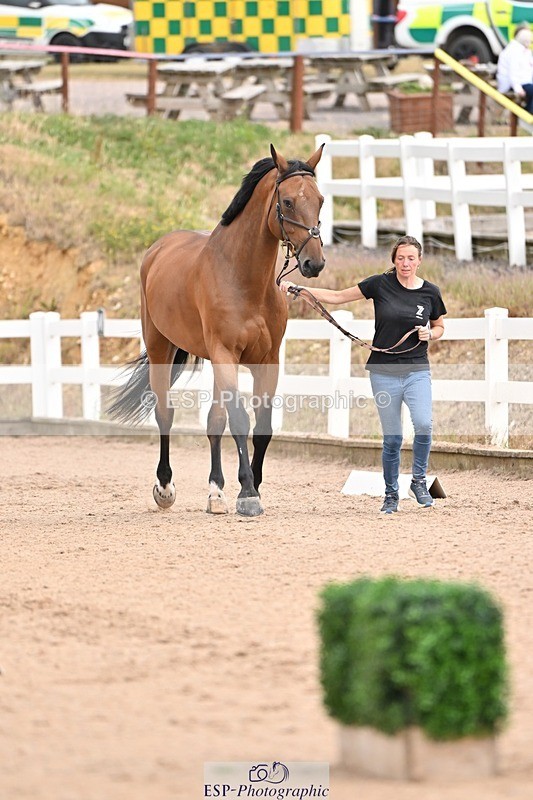 250716-150404-01608 - Trot Up 2.30 to 3.30