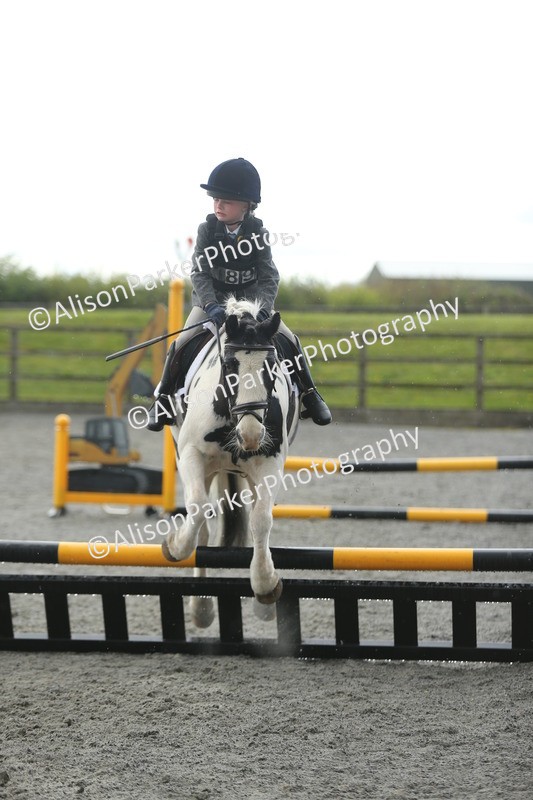 20260412-1952 - Show Jumping