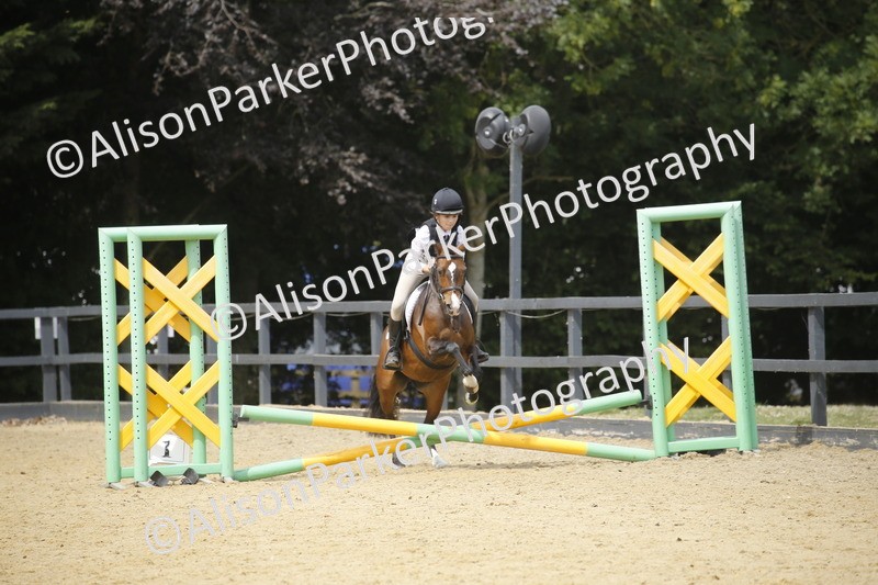 20250622-4594 - 50cm