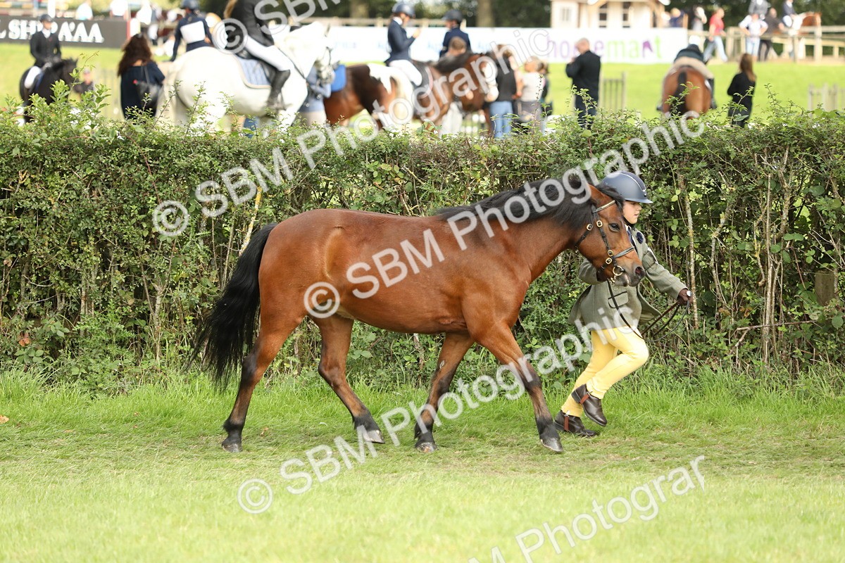 SBM_68520 - S40 - Junior Handler 9-12 Years