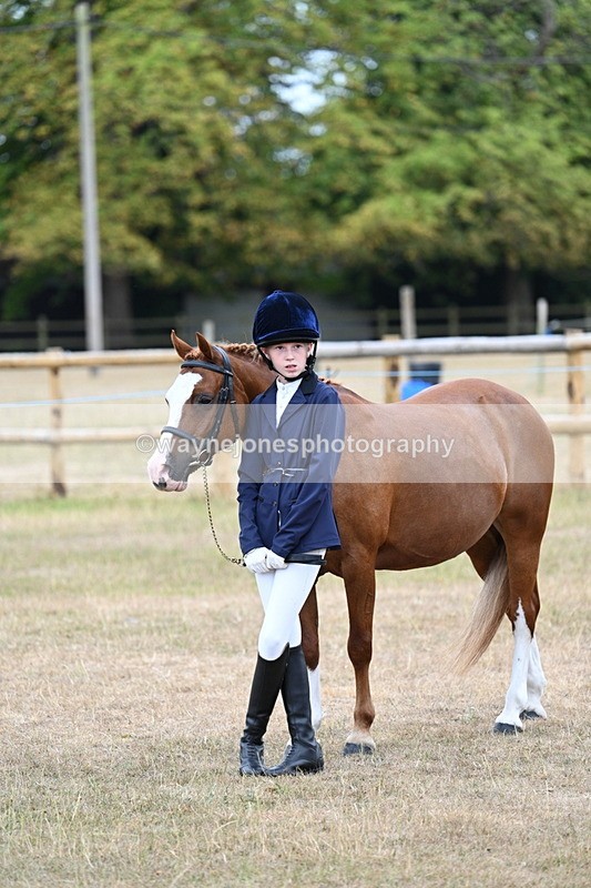 WJ7_8445 - Class 4 Prettiest Mare up to 14.2hh