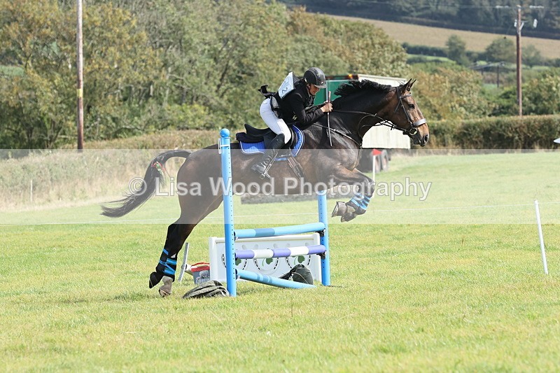 JPP_8811 - Class 2: Trekenning: 80cm Showjumping