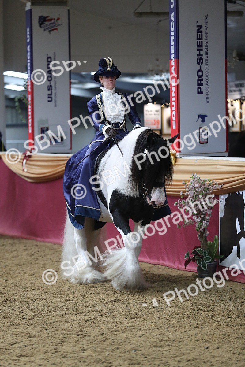 SBM_11951 - Class 106 Ridden Costume- Astride Adult (15-19)