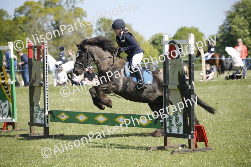 20250427-2022 - Class 13 - Novice Jumping 60cm