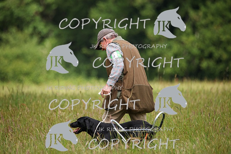 2R6A8254 - 4 Steve