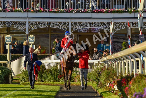 141023-Race 7-Star Ahoy-1701 - Race 7 4.45pm Coral 'Committed To Safer Gambling' Finale Handicap