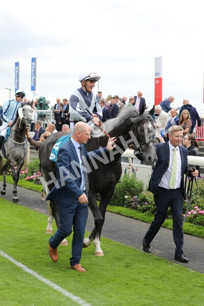 yr18082022r3-6 - Race 3 3.00pm Clipper Logistics Stakes