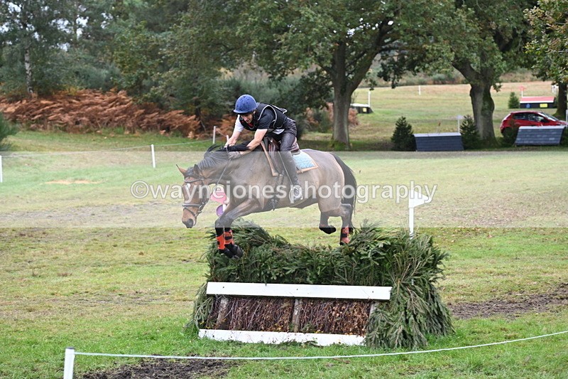 WJ6_2921 - 80cm Cam 1 Pairs Time 12:19 to 12:49