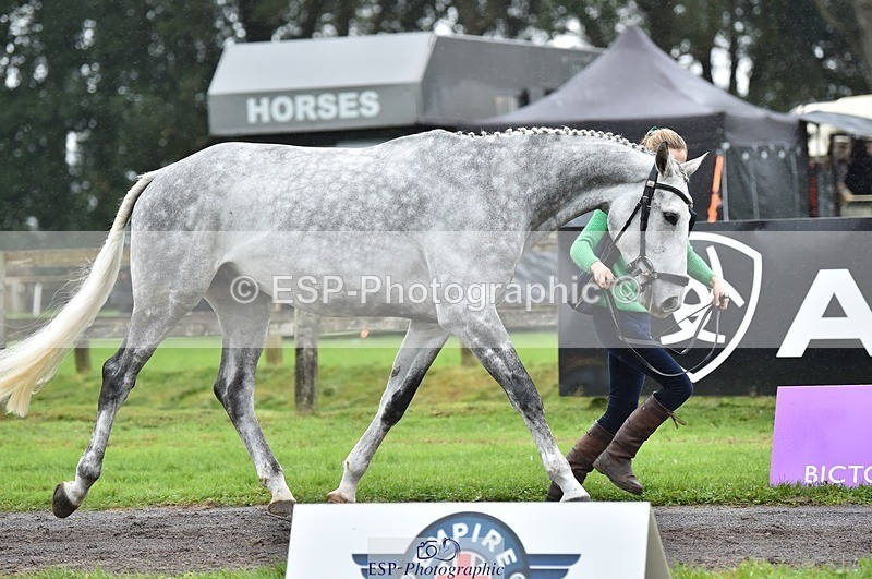 231018-123008-00338 - 041-ELECTED-Megan.Bailey-TrotUp