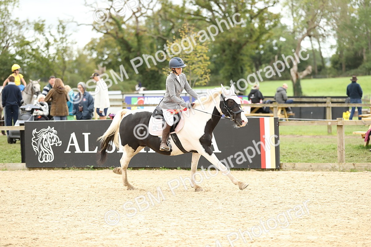 SBM_63212 - Supreme championship 75cm 80cm