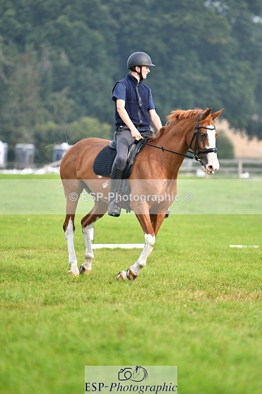 230817-092054-02535 - Abbie's 1st Group - Dressage