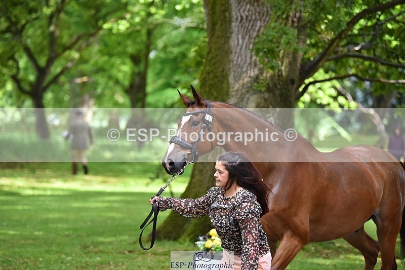 240522-153808-00484 - 382-WIL_JACK_B_KING-Charlotte_Parry-Ashcroft