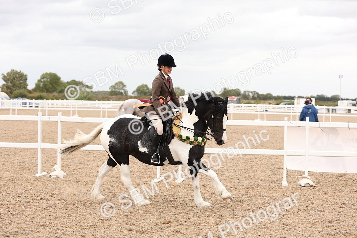 SBM_19749 - Class 216 - Ridden Traditional - Native Cob