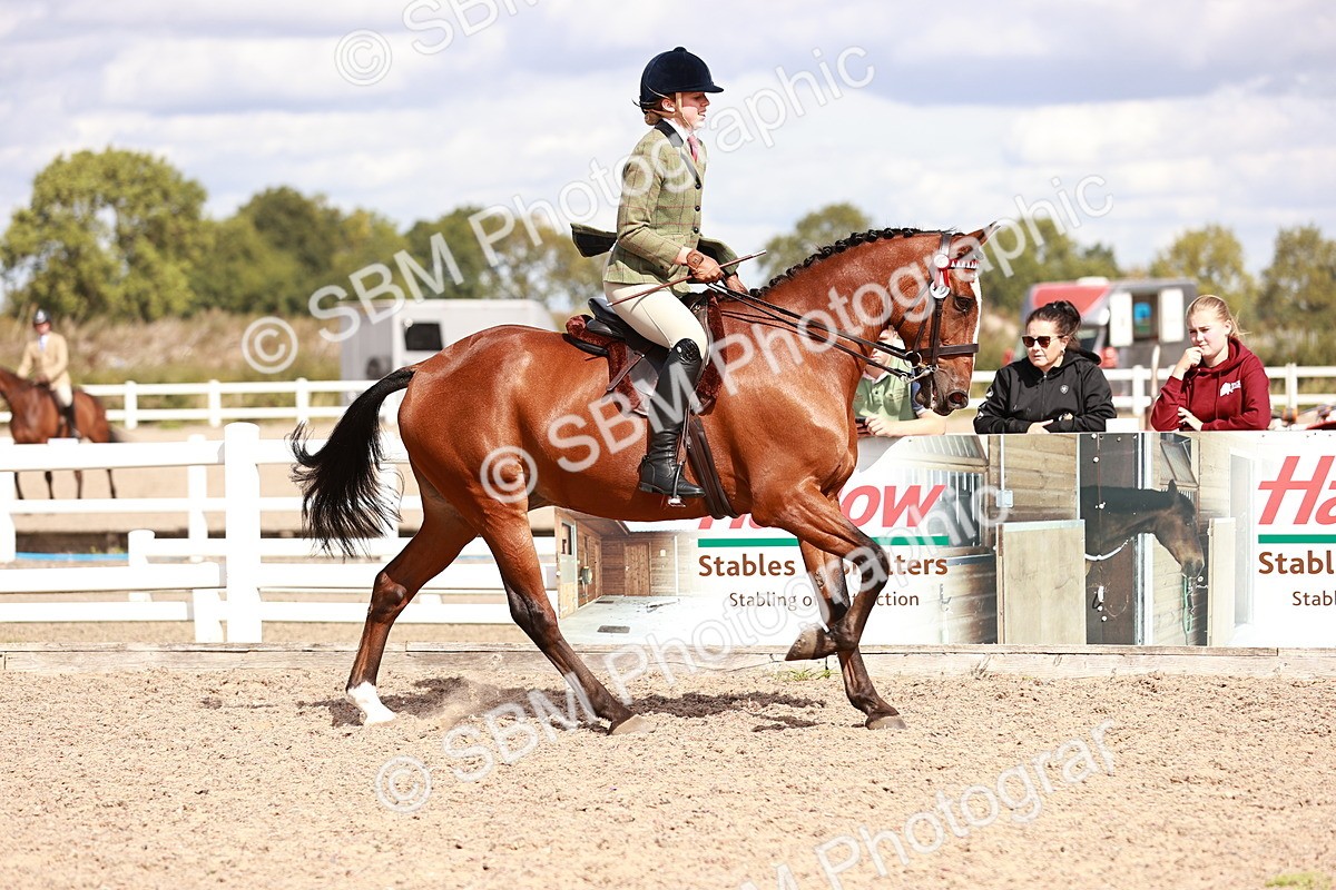 SBM_14436 - Class 410 - Grassroots Ridden - Horse
