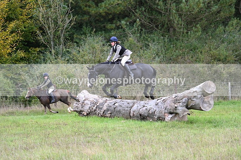 WJ7_3951 - Camera 1 Line 1