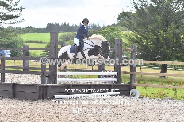 BPP_1916 - DERBY CLASS 5 - 60CM