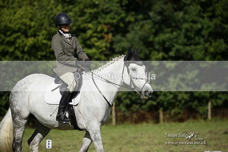 BVRC 120921 255 - Bourne Valley Riding Club UA Dressage & Show Jumping 12/09/21