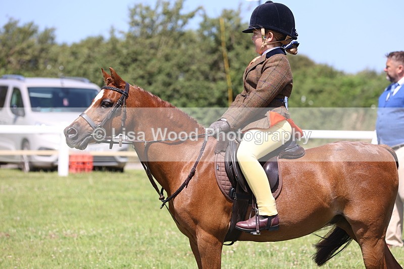 JPP_2239 - Class 20: Tiny Tots Working Hunter Pony