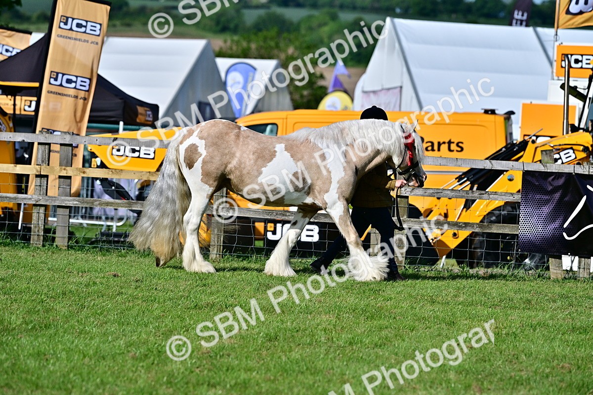 SBM_10137 - Class 63-65 - Traditional Gypsy Cobs In Hand & Ridden