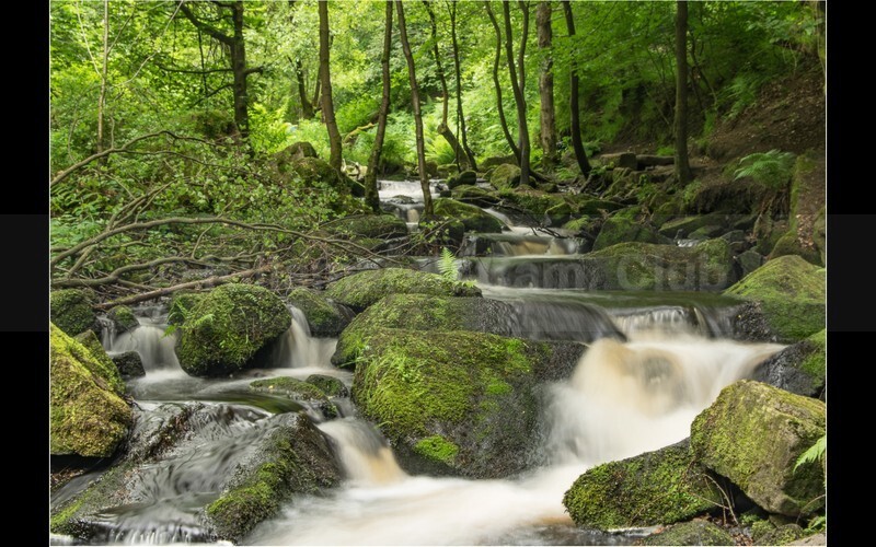 01 Sharon Owen_Babbling Brook - SHARON OWEN