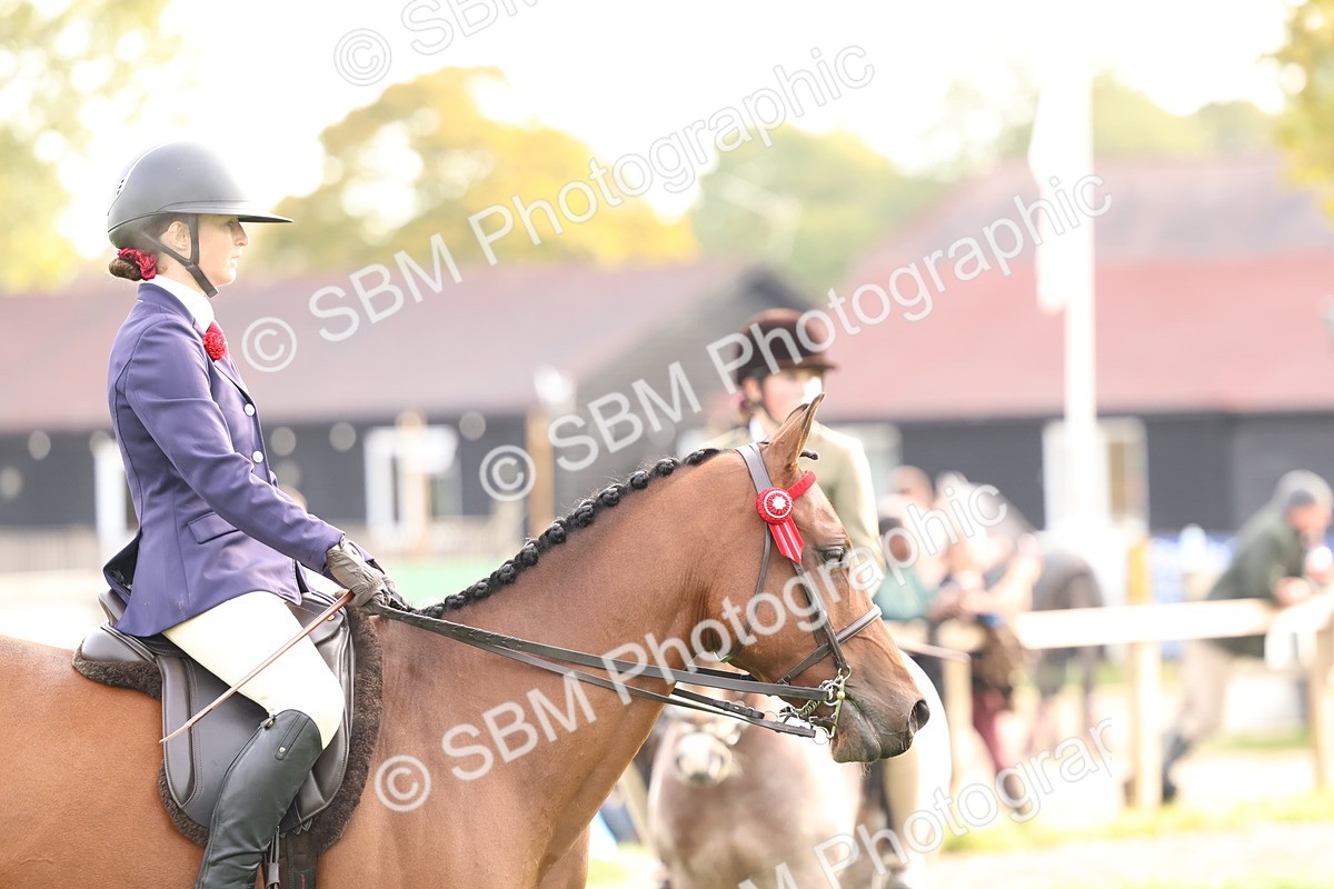 SBM_56639 - S40 - Starters Ridden Showing