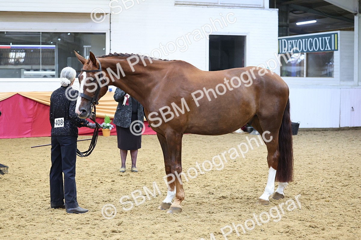 SBM_22719 - Class 903 - Supreme Final - IH Pre Vet