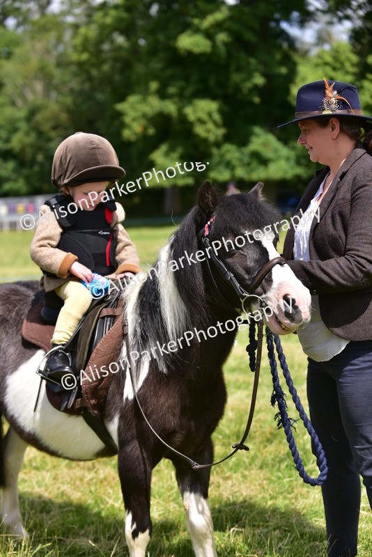 20260614-1335 - Class 11a - Lead Rein Pony (Unplaited)