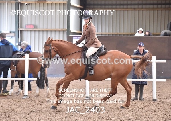 JAC_2403 - CLASS 3 Intermediate Working Hunter