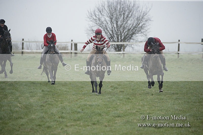 PtP 150320 0002 - New Forest Point-to-Point Larkhill 15/03/20