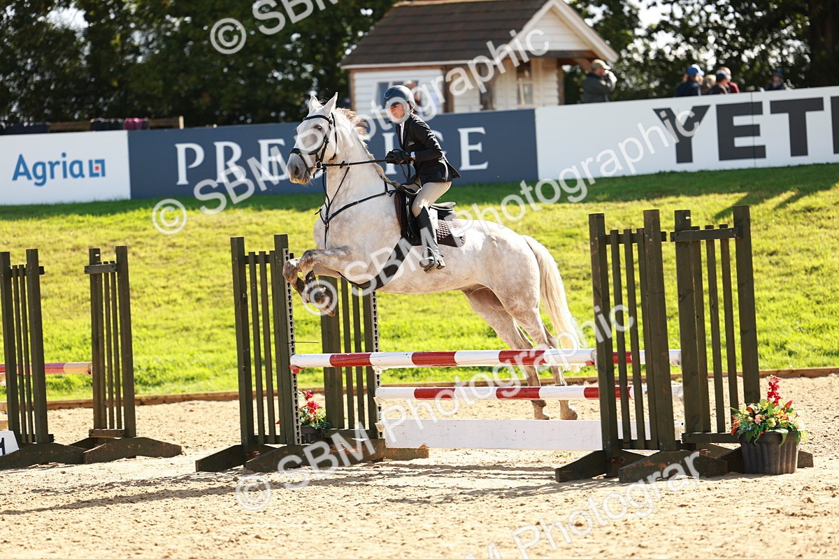 SBM_38063 - J39 - Senior Horse & Pony 85cm Championship