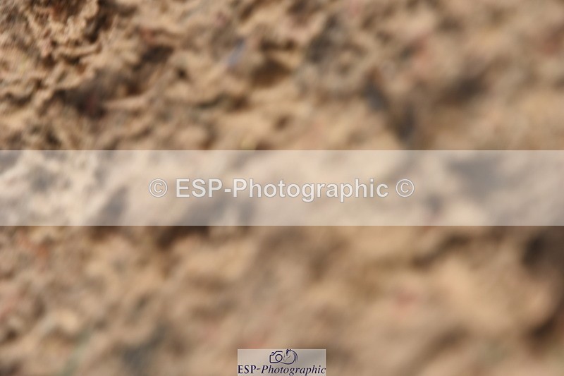 230915A-105726-00239 - Cls 9 British Novice & 90cm Open