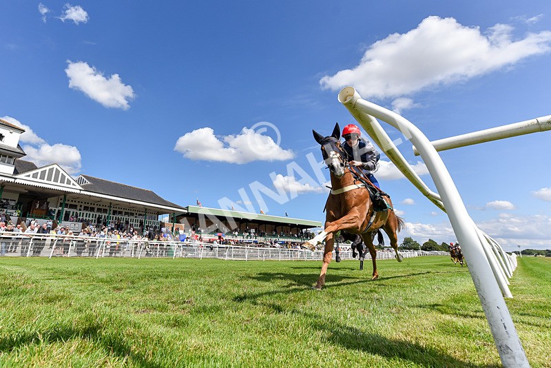 160725-Race 3-Miss Yechance-7415 - Race 3