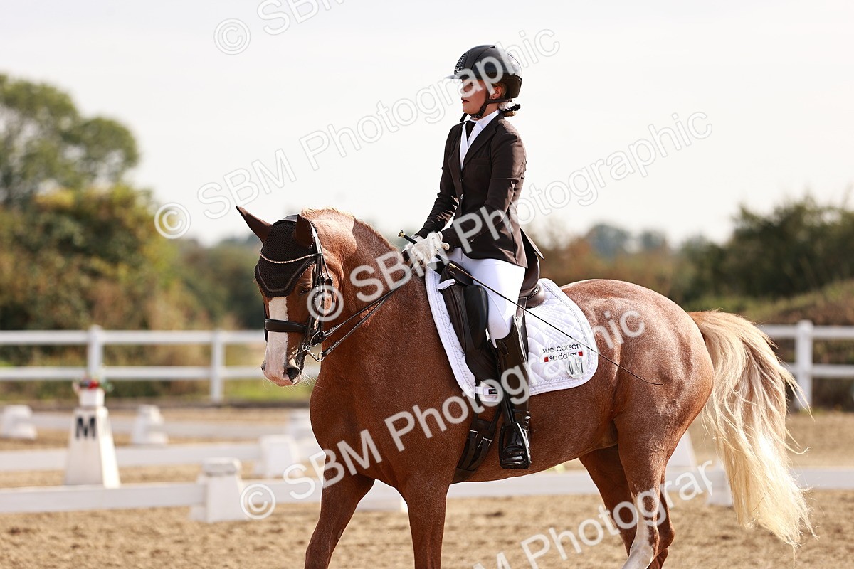 SBM_016857 - Class 10 - Medium 6