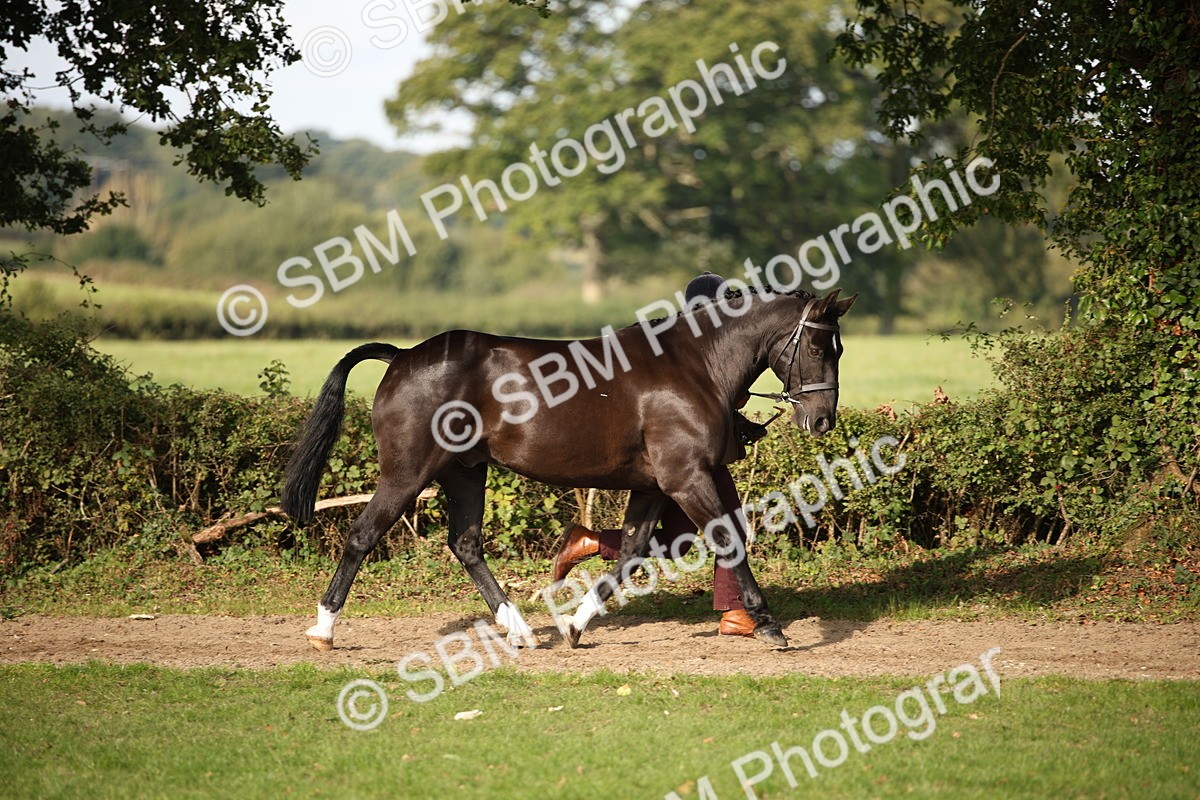 SBM_60070 - S53 - Hunter In Hand