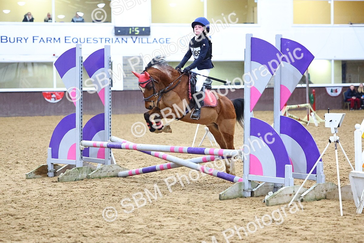 SBM_001384 - Class 3 - Christmas Tree Stakes - 60cm