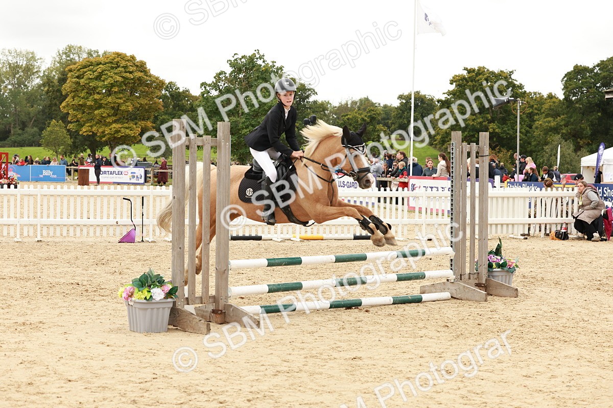SBM_63732 - J12 - Junior Pony 55cm Championship