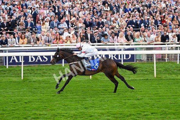 230825-Race 4-Ethical Diamond-0598 - Race 4 3.35pm Sky Bet Ebor Handicap
