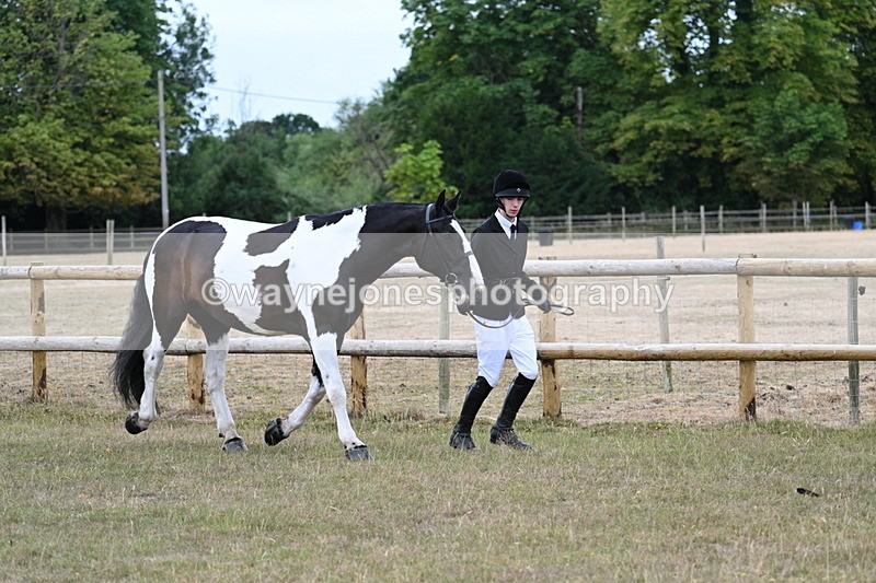 WJ7_8831 - Class 4a Prettiest Mare 14.2hh and over