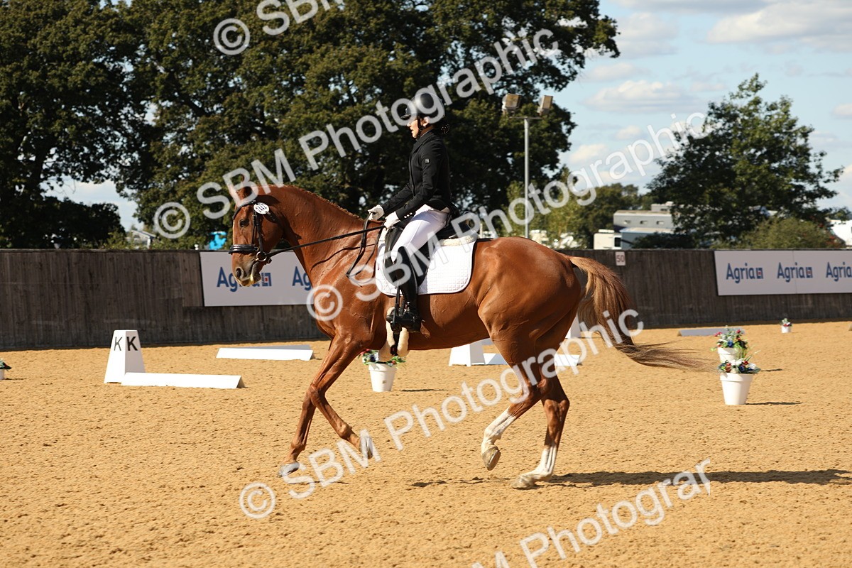 SBM_24632 - D17 - Grand Tour Championship - Novice 27