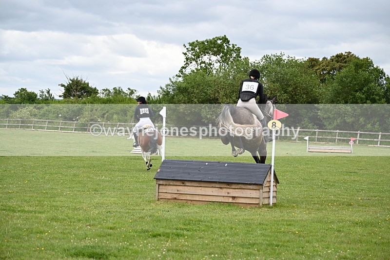 WJ6_3639 - Class 5 80cm Pairs