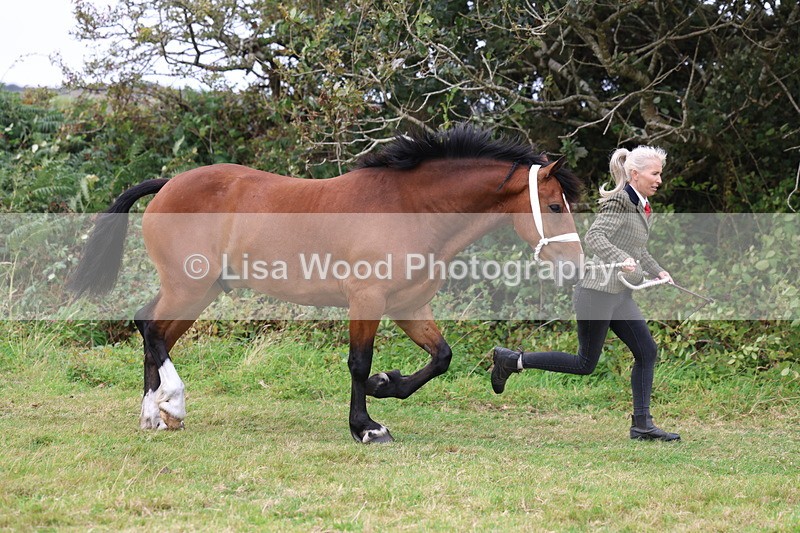 3E7A4368 - Class 15: Three Year Olds