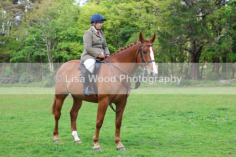 3E7A2606 - Classes 30 and 31: 80cm Working Hunter