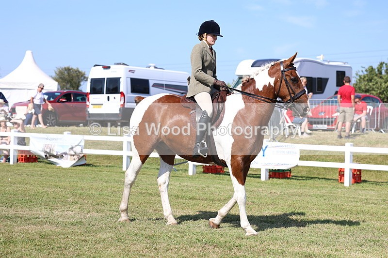 3E7A6280 - Class 4: Rising Star M/H Hunter