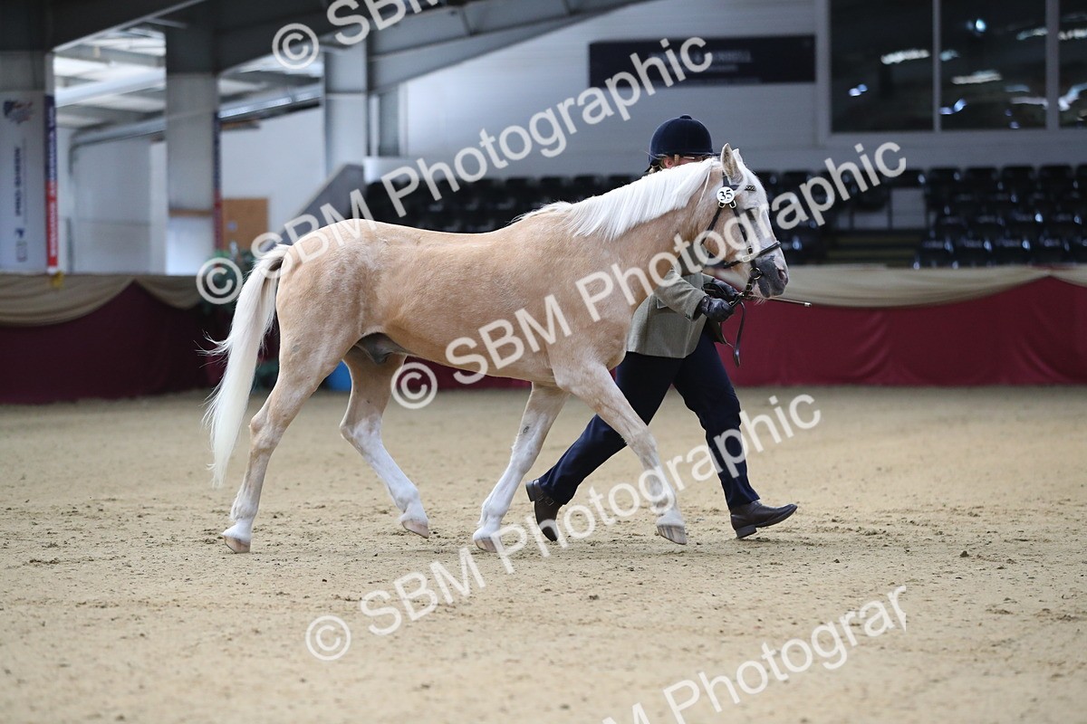 SBM_00248 - Class 1a - Area IH Diamond