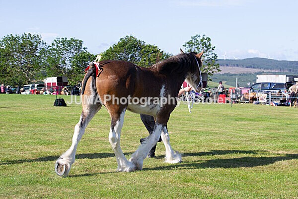 DSC_0045 - Ring 1
