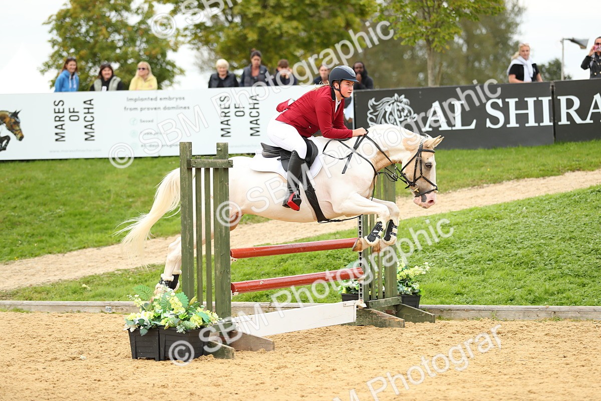 SBM_76046 - J19 - Junior 90cm Supreme Championship