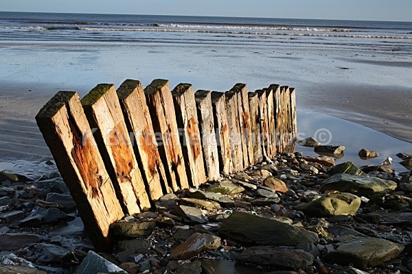  - landscape with neil