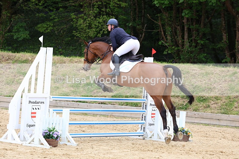 3E7A6402 - Class 4: Senior British Novice/90cm open